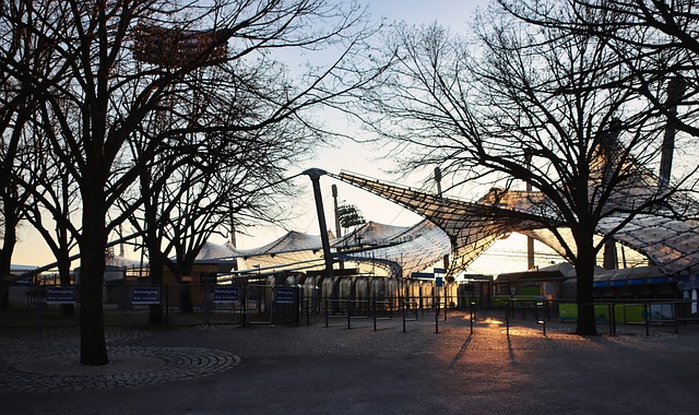 但过于依赖 但过于依赖